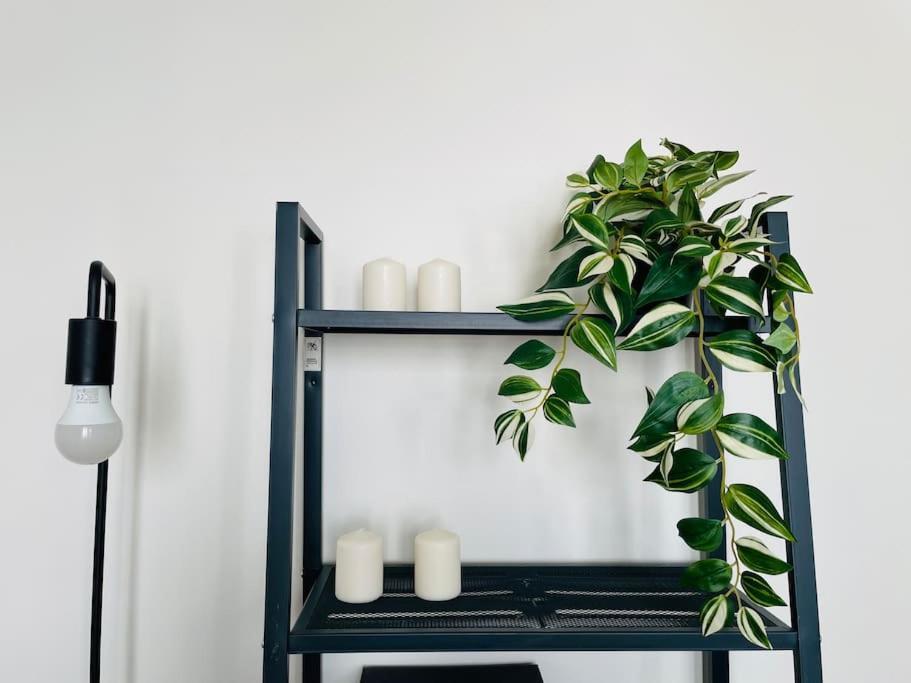 Charming & Cocooning Flat - Canal De L'Ourq Pantin Buitenkant foto